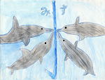イルカにとっての水：M.U（岩手県紫波町／10歳）