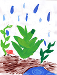 雨の朝：M.A（岡山県岡山市／9歳）